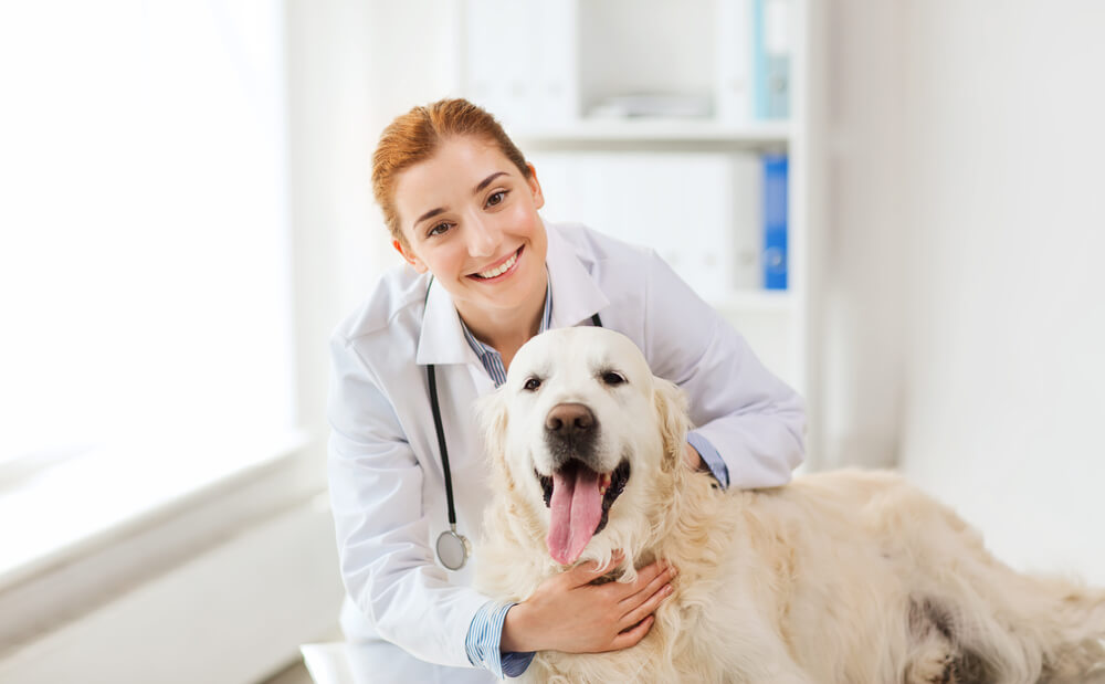 Does Insurance Cover My Pets Preventative Care Visits